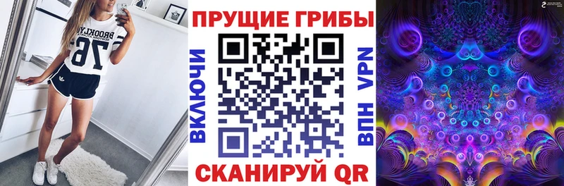Галлюциногенные грибы Cubensis  Задонск 
