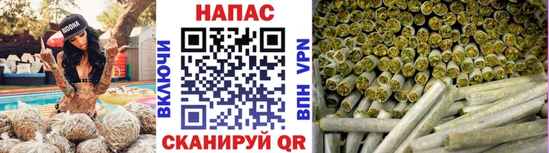 mega зеркало  Задонск  Канабис планчик  где продают  